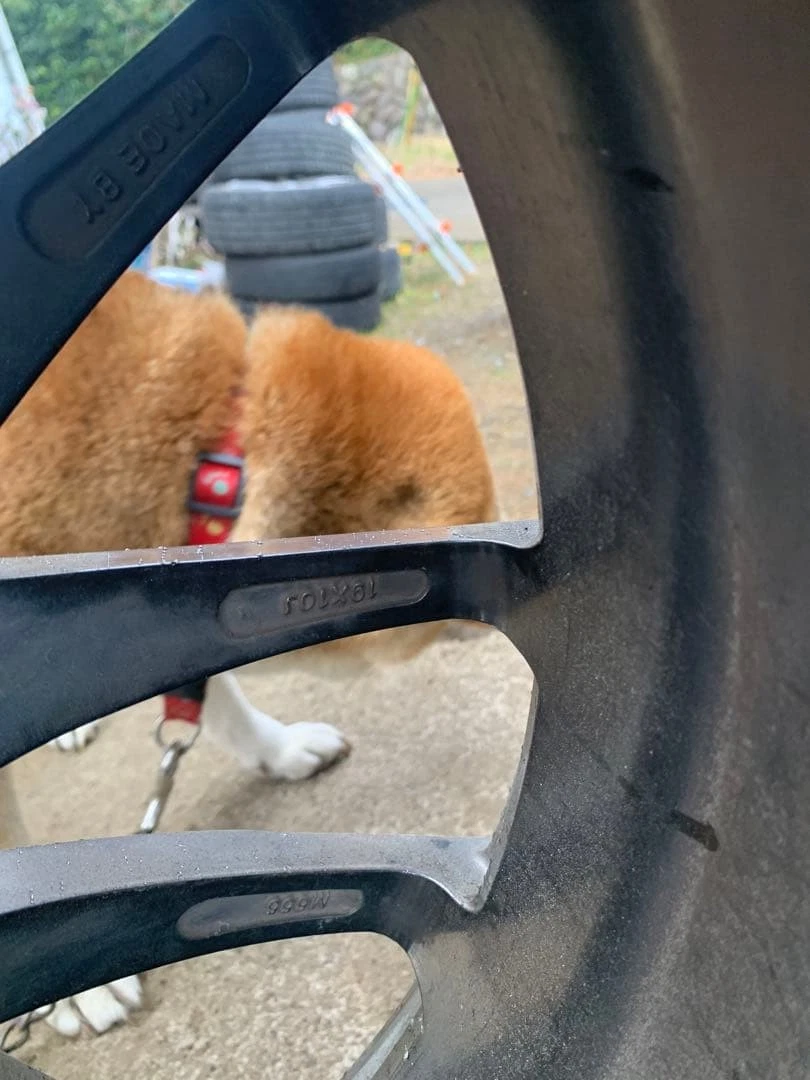 JDM 5ZIGEN 19-inch Pro Racer 4Book9J10J with tires No Tires - Image 5