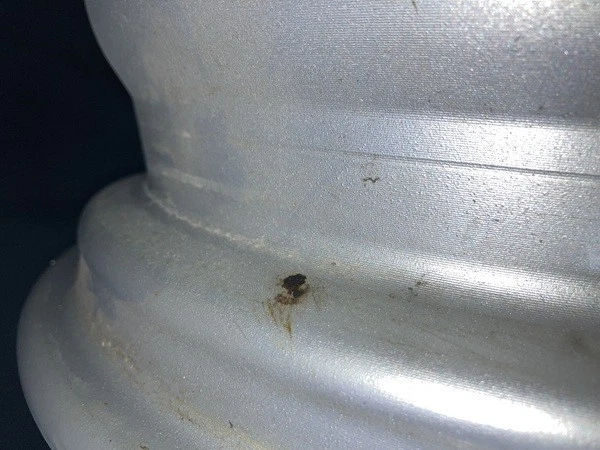 JDM B6 Old Car Wheels GAZEBO 4Book Set Discontinued Aluminum Wheels 14 No Tires - Image 4