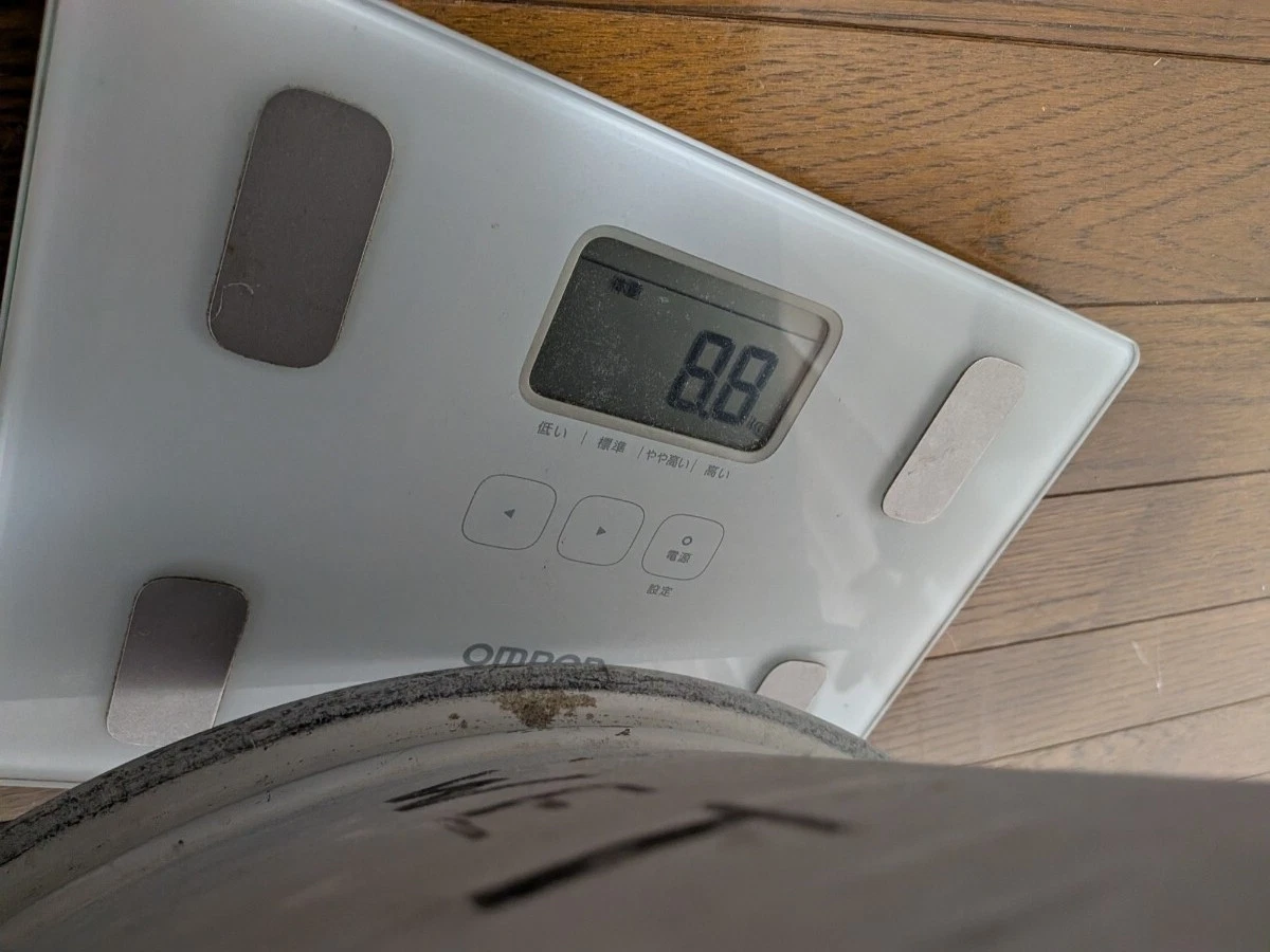 JDM Team Impul Center Rock Magnesium Wheels for JGTC Calsonic Skyline No Tires - Image 9