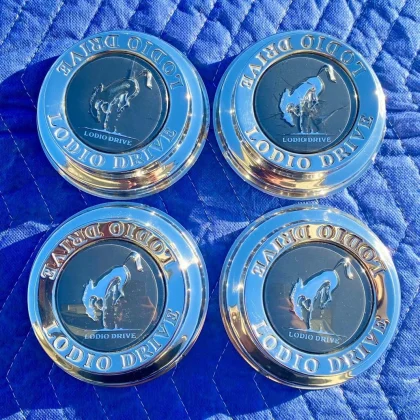 JDM LODIODRIVE Rodeo Dry Wheel Center Caps 4 Individual Set No Tires