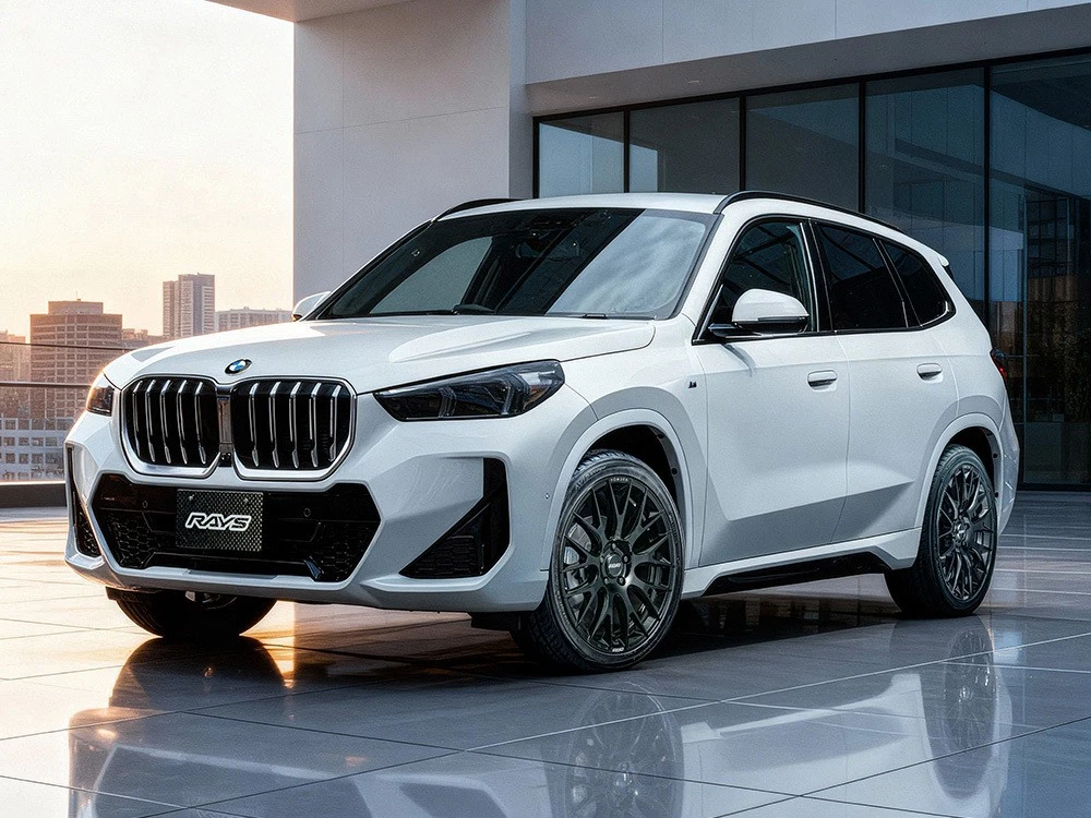 JDM RAYS HOMURA 2X9R Rays Homura Village 2x9R BNJcolor 20-inch Wheel S No Tires