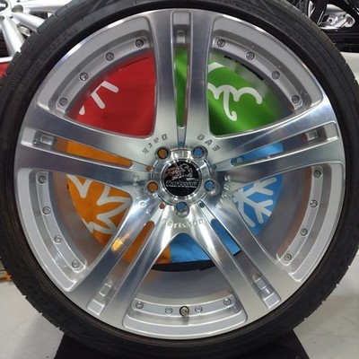 JDM Rare Carlsson Carlson 1/5 EVO Dark Series Silver Edition Mercedes- (No Tires)