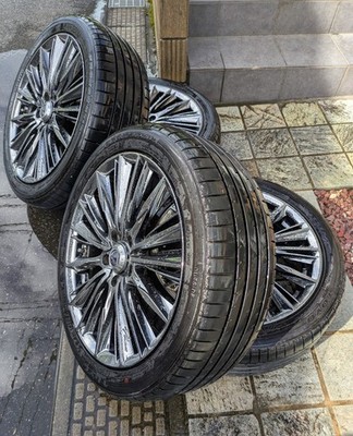 JDM RAYS VERSUS stratagia VOUGE br RAYS (No Tires)